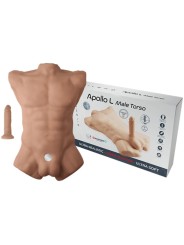 SILEXD APOLLO L TORSO REALISTICO MASCULINO CARAMELO