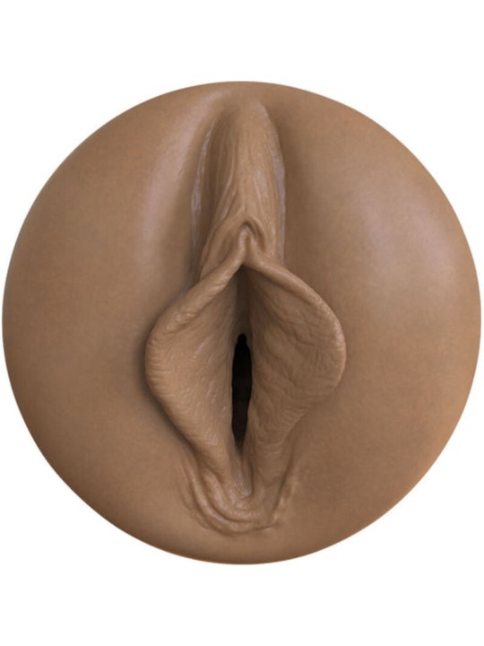 FLESHLIGHT BOOST MASTURBADOR VAGINA BANG MD FLESH RP