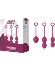 ARMONY ANABIOSIS PESAS VAGINALES 3 NIVELES BUGAMBILLA