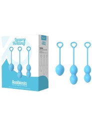 ARMONY ANABIOSIS PESAS VAGINALES 3 NIVELES AZUL