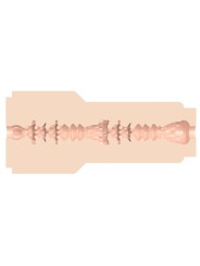 FLESHLIGHT GIRLS VANNA BARDOT VAGINA