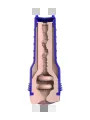 FLESHLIGHT BOOST BLAST LM FLESH RP