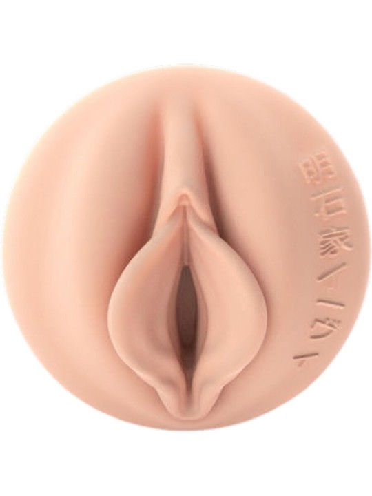 FLESHLIGHT FANTASY EVIE AKASHIYA VAGINA