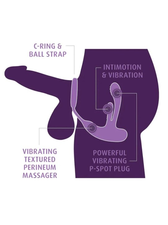 ANAL FANTASY ELITE ASS GASM INTIMOTION ESTIMULADOR ANAL Y PERINEAL RECARGABLE