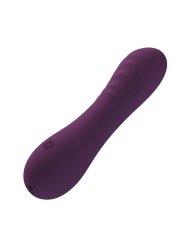 PRETTY LOVE ALEXISROSE VIBRADOR RECARGABLE 10 FUNCIONES MORADO
