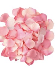 DIABLO PICANTE 100 PETALOS ROSA