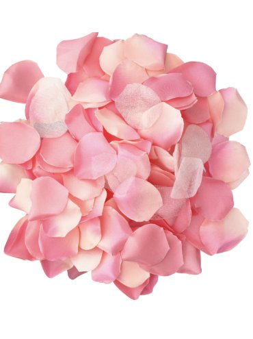 DIABLO PICANTE 100 PETALOS ROSA