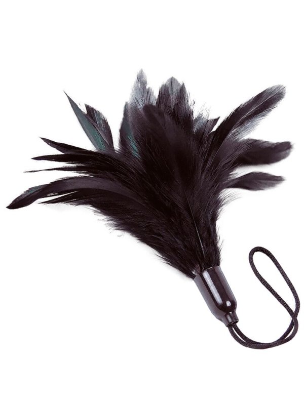 ADRIEN LASTIC PRESTIGE PLUMERO NEGRO