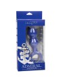 CALEXOTICS ADMIRAL PLUG ANAL AVANZADO AZUL
