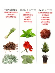 EYE OF LOVE EOL PERFUME FEROMONAS 10 ML ROMANTIC