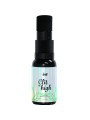INTT RELEASES CLIT ME HIGH ACEITE CANNABIS 15 ML