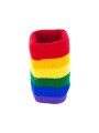 PRIDE MUNEQUERA BANDERA LGBT