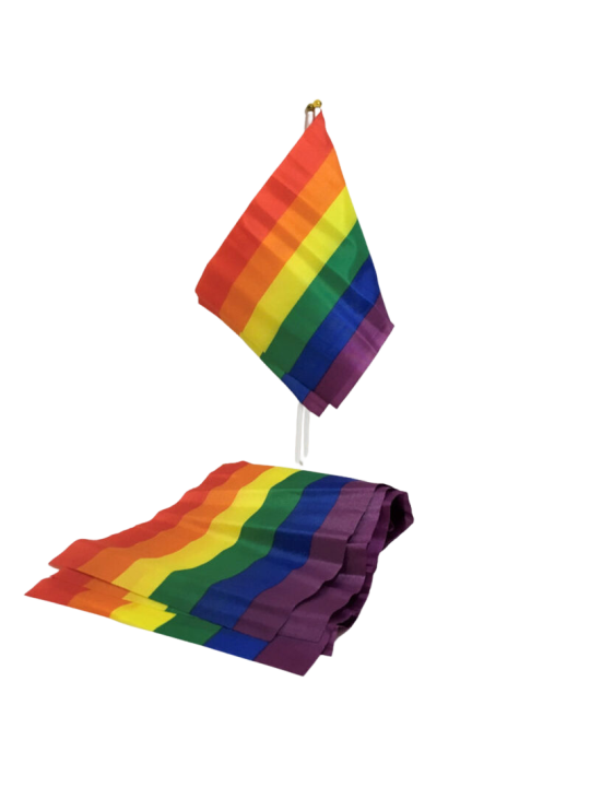 PRIDE BANDERIN PEQUENO BANDERA LGBT