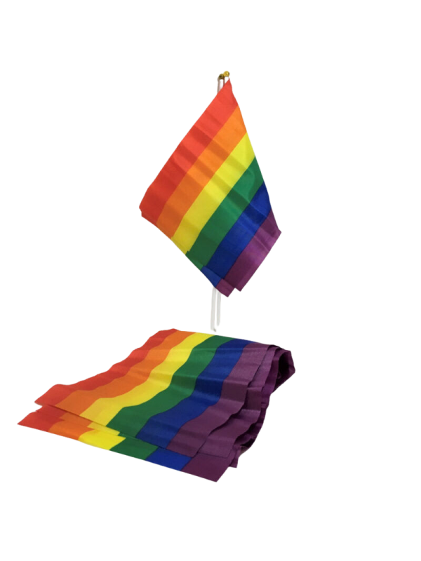 PRIDE BANDERIN PEQUENO BANDERA LGBT