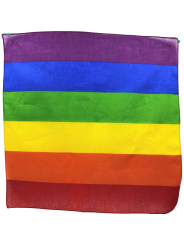 PRIDE PANUELO LGBT 50 X 50