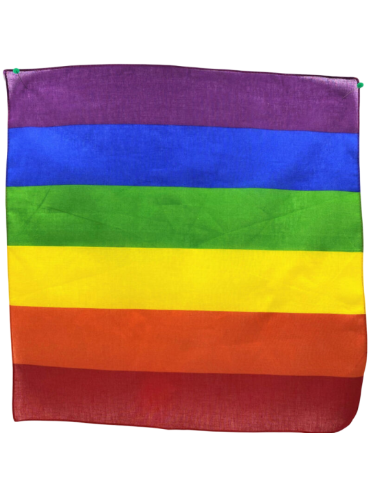 PRIDE PANUELO LGBT 50 X 50
