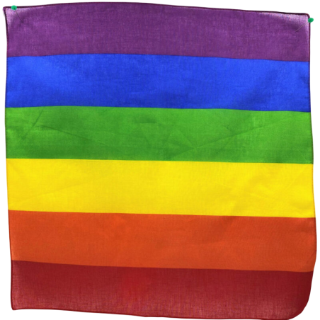 PRIDE PANUELO LGBT 50 X 50