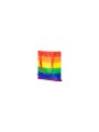 PRIDE BOLSA DE TELA BANDERA ARCOIRIS