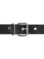 HARNESS ATTRACTION ARNES TAYLOR DELUXE 18 CM O 45 CM
