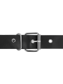 HARNESS ATTRACTION ARNES TAYLOR DELUXE 18 CM O 45 CM