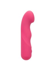 CALEXOTICS PIXIES CURVY ROSA