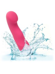 CALEXOTICS PIXIES CURVY ROSA