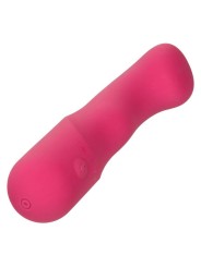 CALEXOTICS PIXIES CURVY ROSA