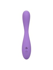 CALEXOTICS CONTOUR DEMI VIOLETA