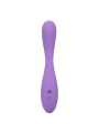CALEXOTICS CONTOUR DEMI VIOLETA
