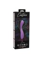 CALEXOTICS CONTOUR DEMI VIOLETA