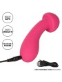 CALEXOTICS PIXIES EXCITER ROSA