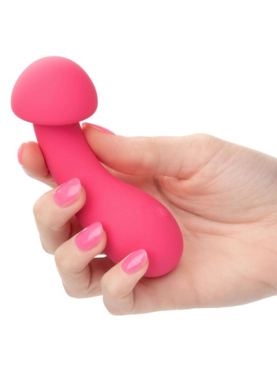 CALEXOTICS PIXIES EXCITER ROSA