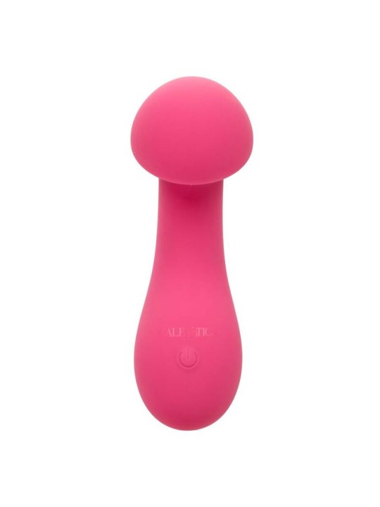 CALEXOTICS PIXIES EXCITER ROSA