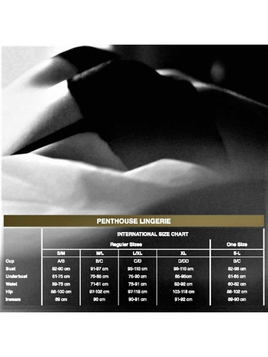 PENTHOUSE BE MINE TEDDY NEGRO XL