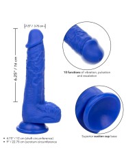 CALEXOTICS ADMIRAL SAILOR DILDO REALISTICO VIBRADOR AZUL