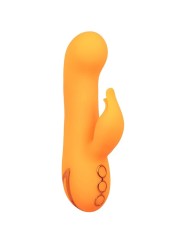 CALEXOTICS MONTECITO MUSE VIBRADOR RABBIT NARANJA BY CALIFORNIA DREAMING