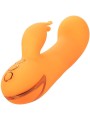 CALEXOTICS MONTECITO MUSE VIBRADOR RABBIT NARANJA BY CALIFORNIA DREAMING CALEXOTICS MONTECITO MUSE VIBRADOR RABBIT NARANJA BY CALIFORNIA DREAMING