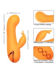 CALEXOTICS MONTECITO MUSE VIBRADOR RABBIT NARANJA BY CALIFORNIA DREAMING