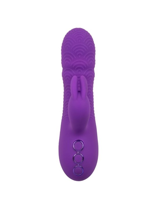CALEXOTICS MANHATTAN BEACH MARVEL VIBRADOR RABBIT MORADO BY CALIFORNIA DREAMING