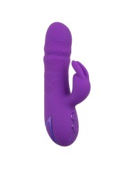 CALEXOTICS MANHATTAN BEACH MARVEL VIBRADOR RABBIT MORADO BY CALIFORNIA DREAMING