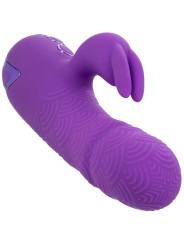CALEXOTICS MANHATTAN BEACH MARVEL VIBRADOR RABBIT MORADO BY CALIFORNIA DREAMING