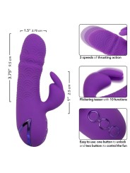 CALEXOTICS MANHATTAN BEACH MARVEL VIBRADOR RABBIT MORADO BY CALIFORNIA DREAMING