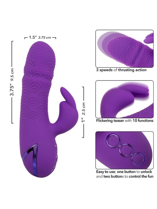 CALEXOTICS MANHATTAN BEACH MARVEL VIBRADOR RABBIT MORADO BY CALIFORNIA DREAMING