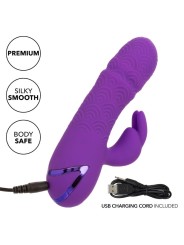 CALEXOTICS MANHATTAN BEACH MARVEL VIBRADOR RABBIT MORADO BY CALIFORNIA DREAMING