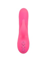 CALEXOTICS SACRAMENTO SWEETIE VIBRADOR RABBIT ROSA BY CALIFORNIA DREAMING