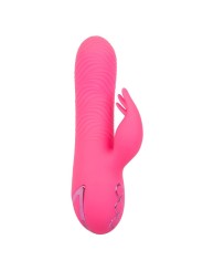 CALEXOTICS SACRAMENTO SWEETIE VIBRADOR RABBIT ROSA BY CALIFORNIA DREAMING