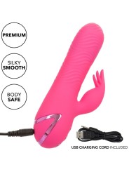 CALEXOTICS SACRAMENTO SWEETIE VIBRADOR RABBIT ROSA BY CALIFORNIA DREAMING