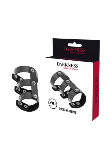 DARKNESS ANILLO DOBLE PENE Y TESTICULOS AJUSTABLE LEATHER