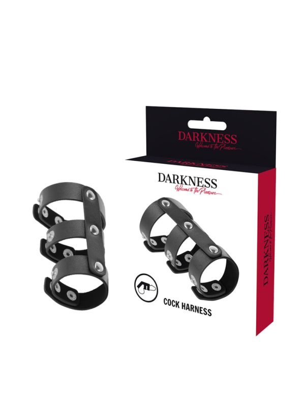 DARKNESS ANILLO DOBLE PENE Y TESTICULOS AJUSTABLE LEATHER