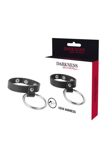 DARKNESS ANILLO DE METAL PARA EL PENE Y TESTICULOS